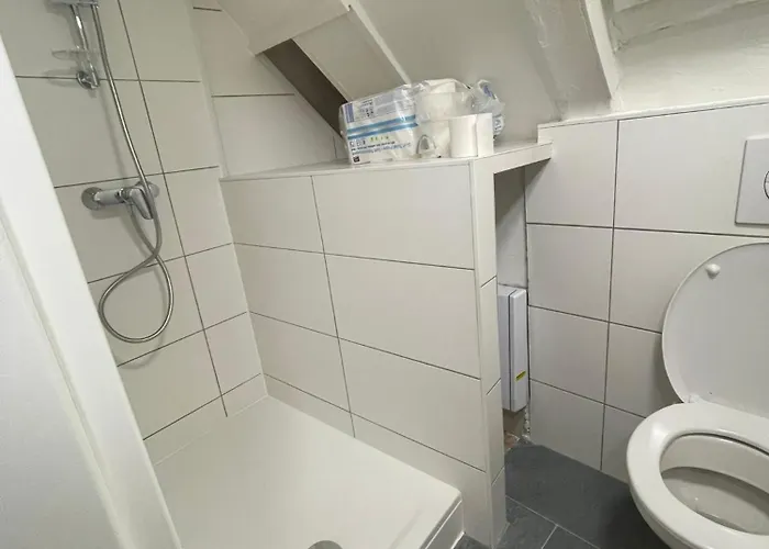 Haus Zum Bacchus Privates Nahe Bahnhof Roemisches Theater, * マインツ